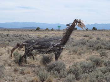 Pink_School_House_NM_3