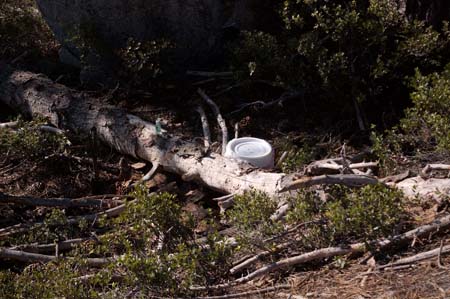 ToiletBucket