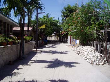 P6120022